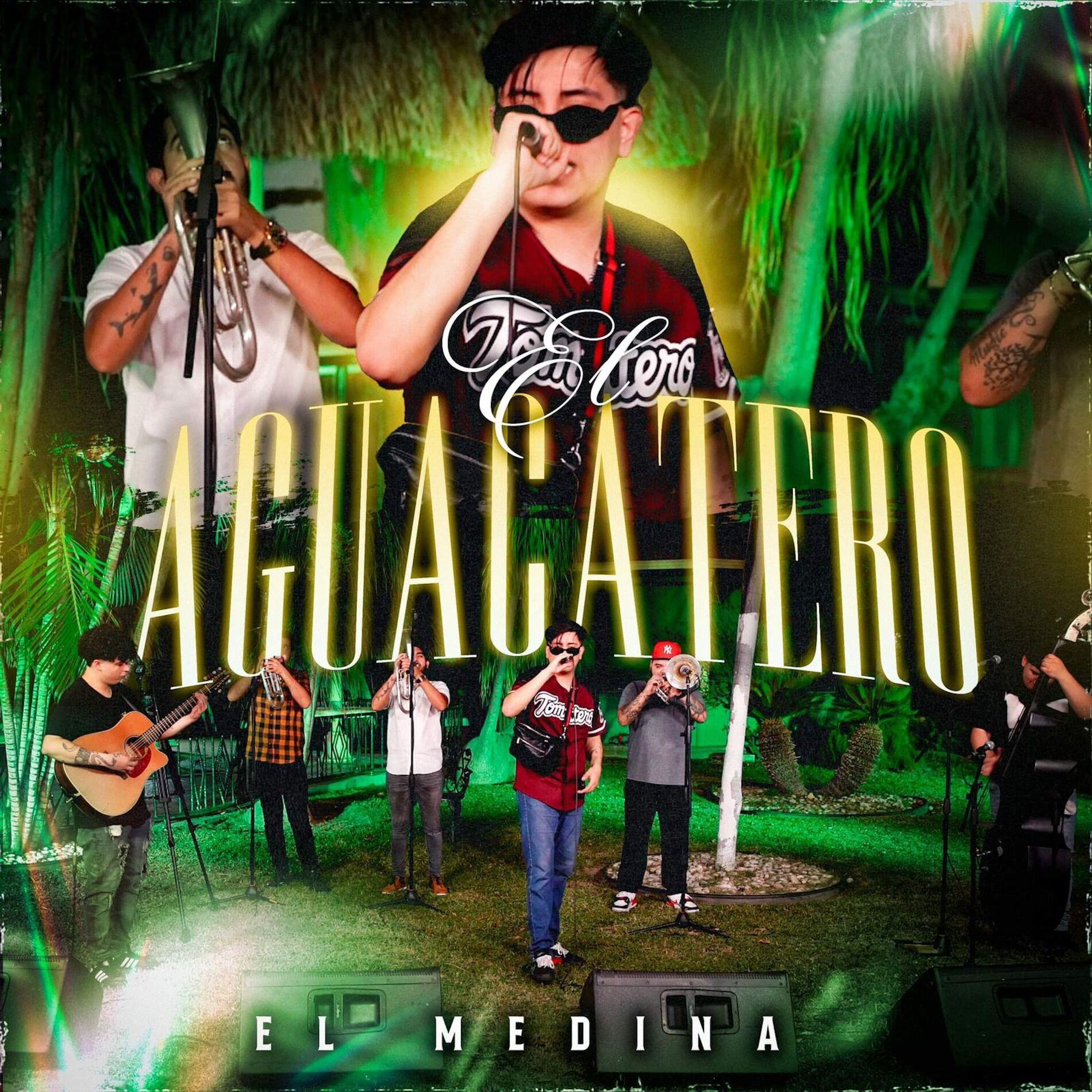 Album cover of El Aguacatero