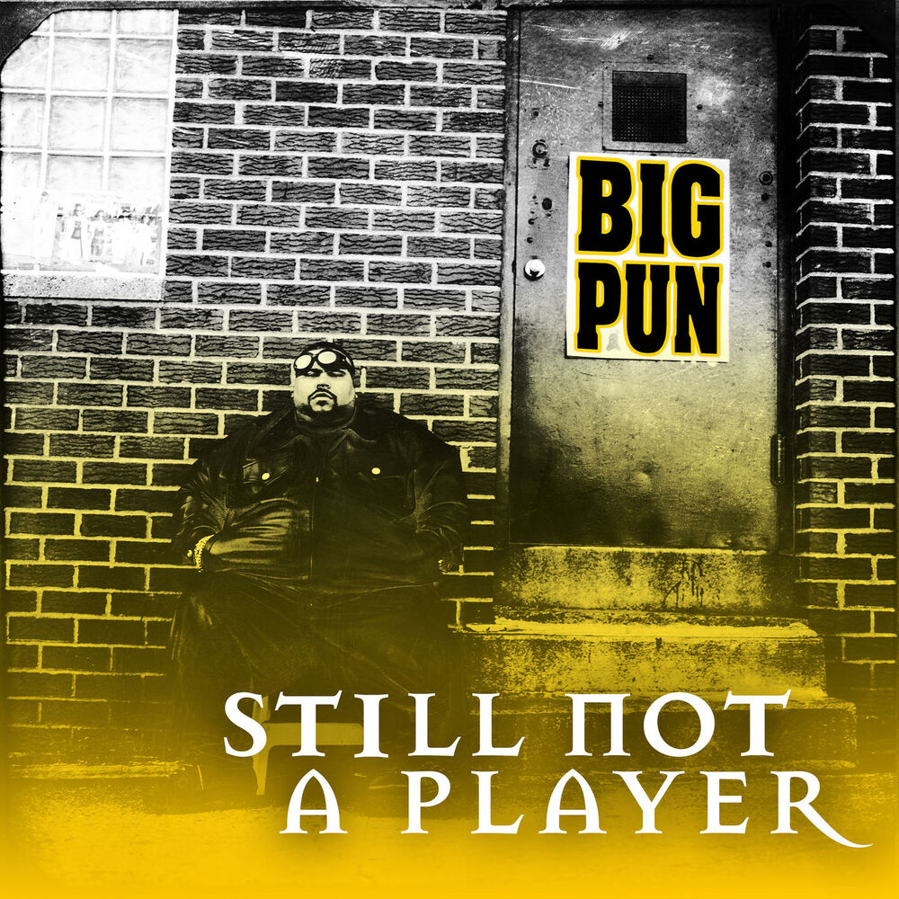 Picture of Still Not a Player EP