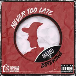 Cover of Never too late (feat. Birdking)