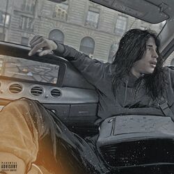 Cover of Basta