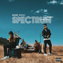 Cover of Spectrum