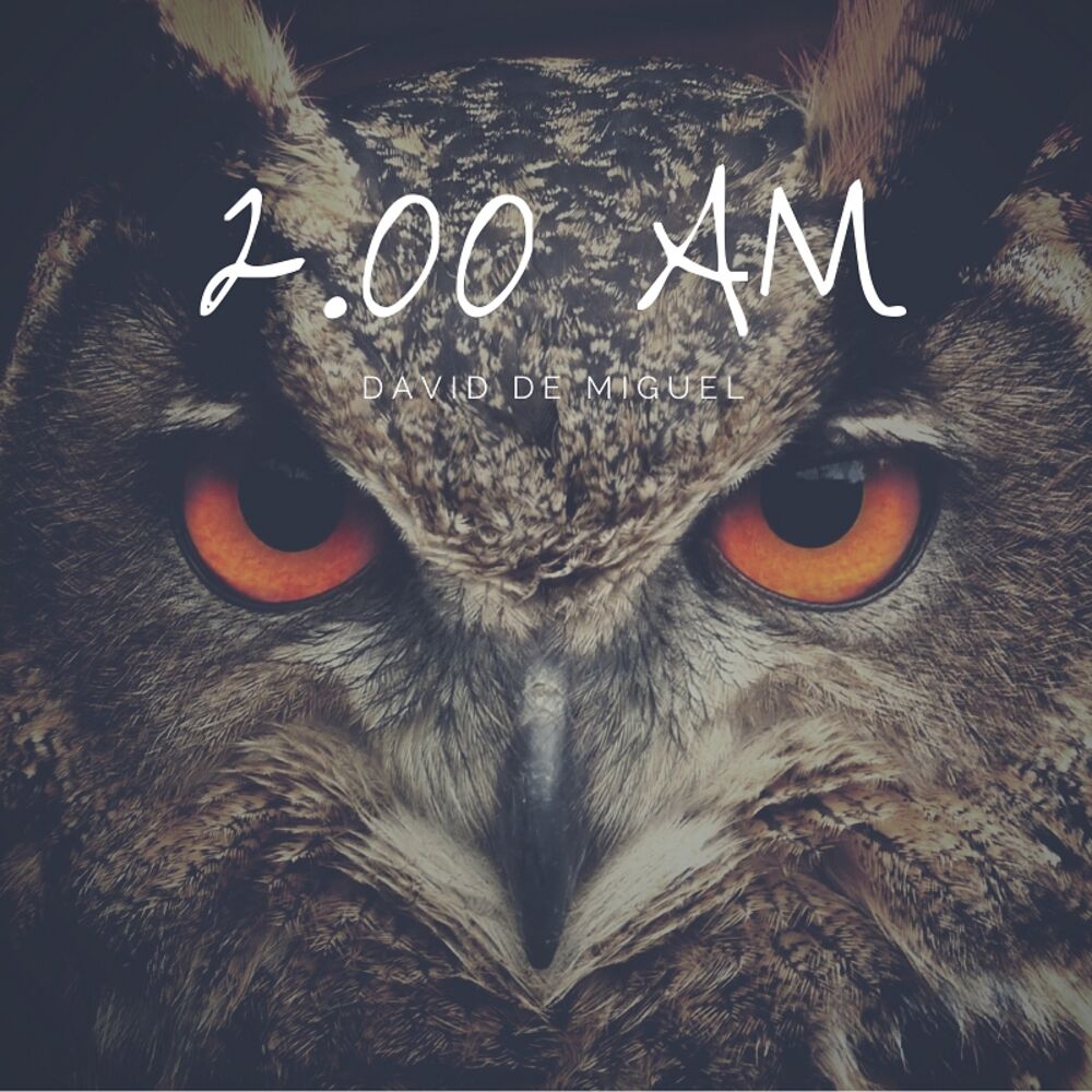 Picture of 2.00 AM