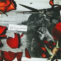 Cover of Delusional