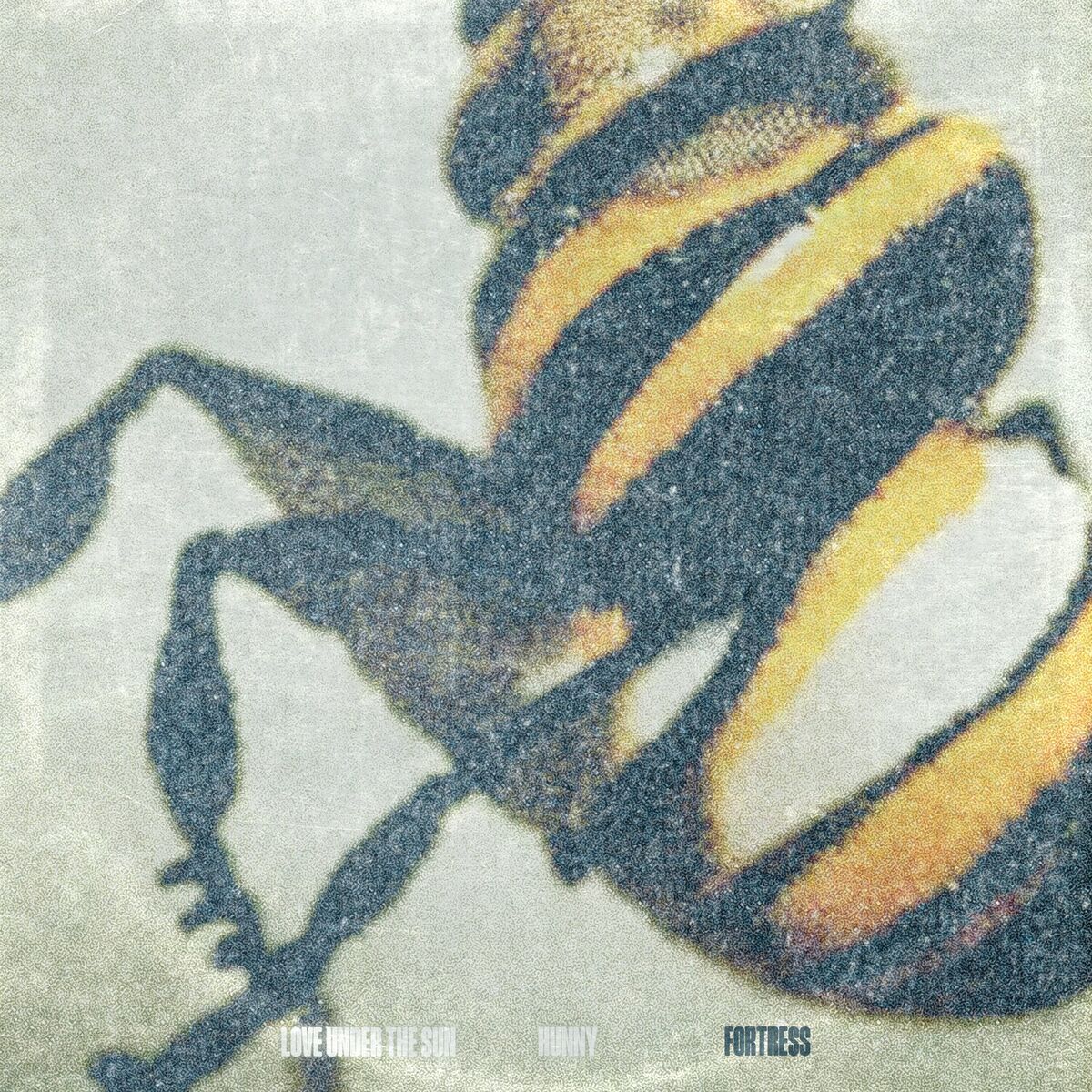 Album cover of Fortress