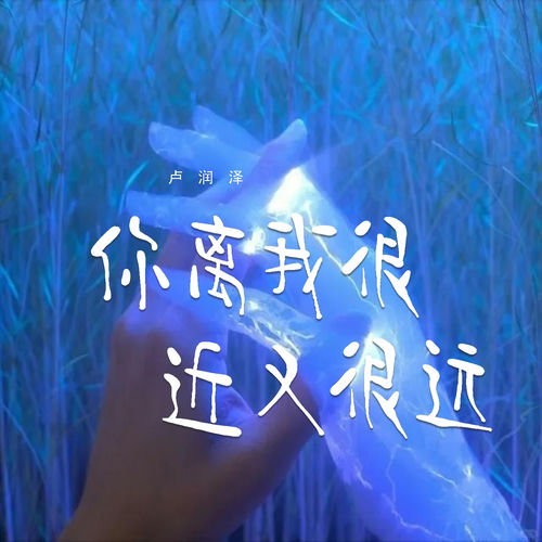 你离我很近又很远