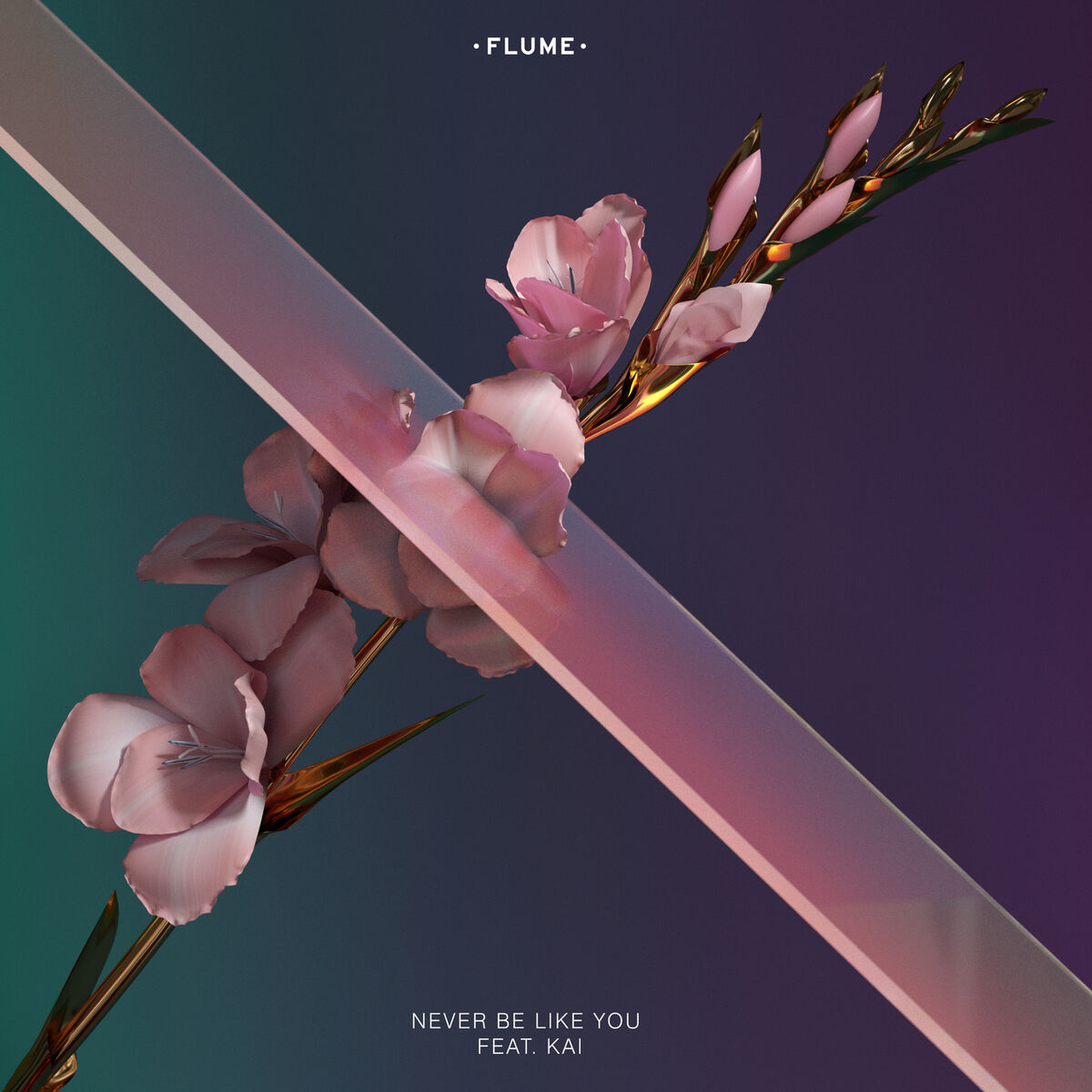 Album picture of Never Be Like You