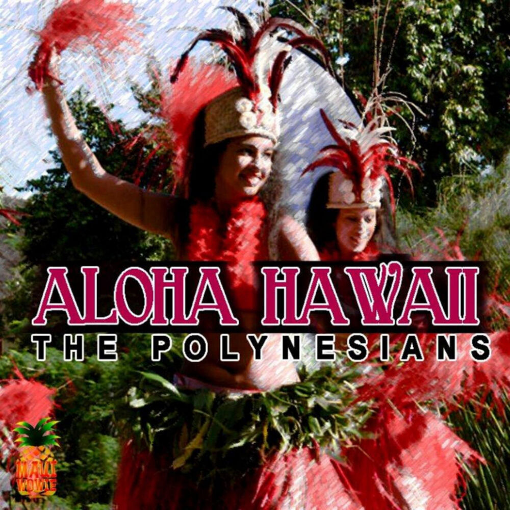 Picture of Aloha Hawaii