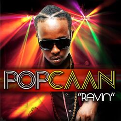 Cover of Ravin