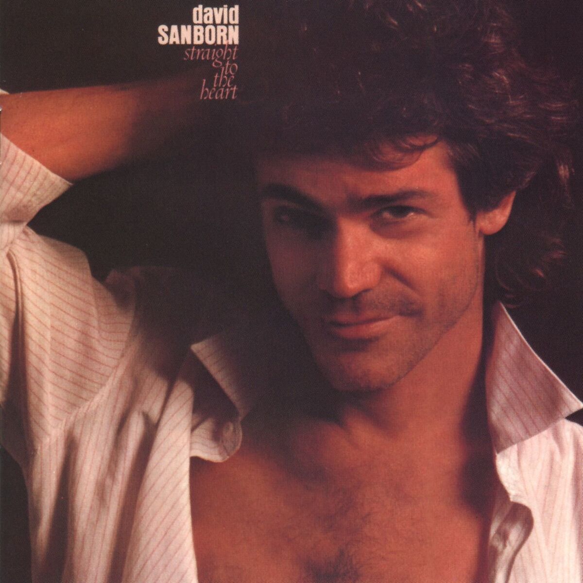 Album cover of Straight To The Heart (Live)