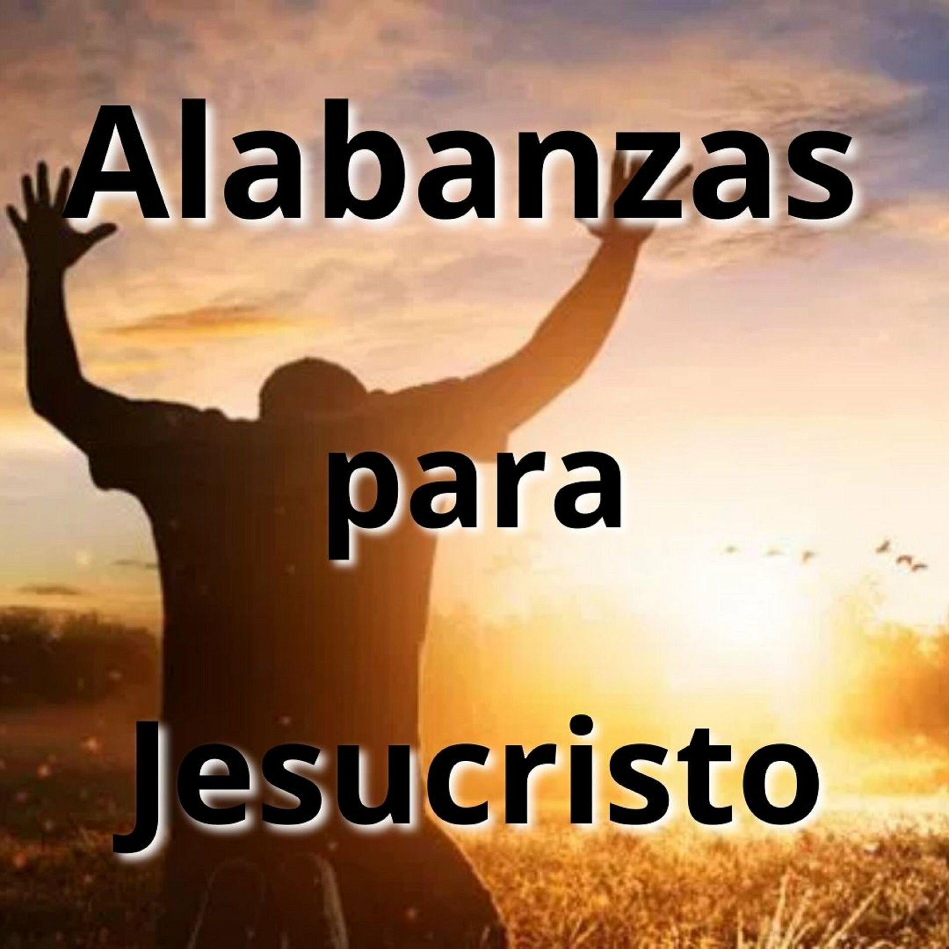 Album cover of Alabanzas para Jesucristo