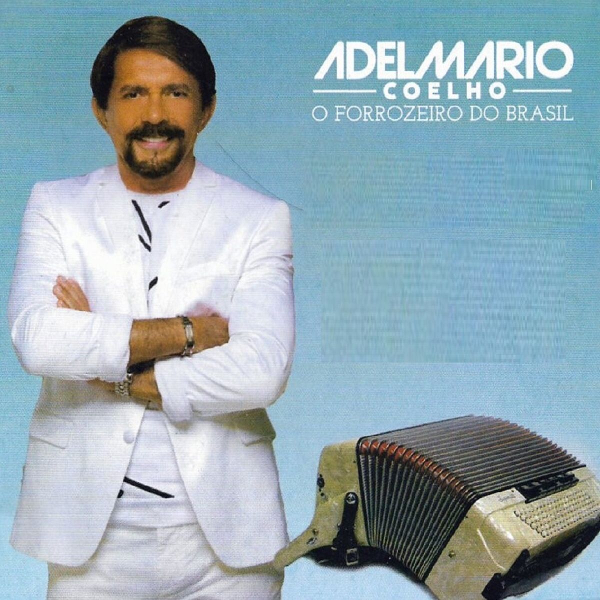Album cover of O Forrozeiro do Brasil