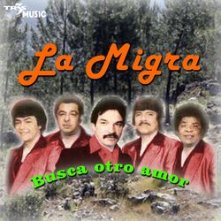 Cover of Busca Otro Amor