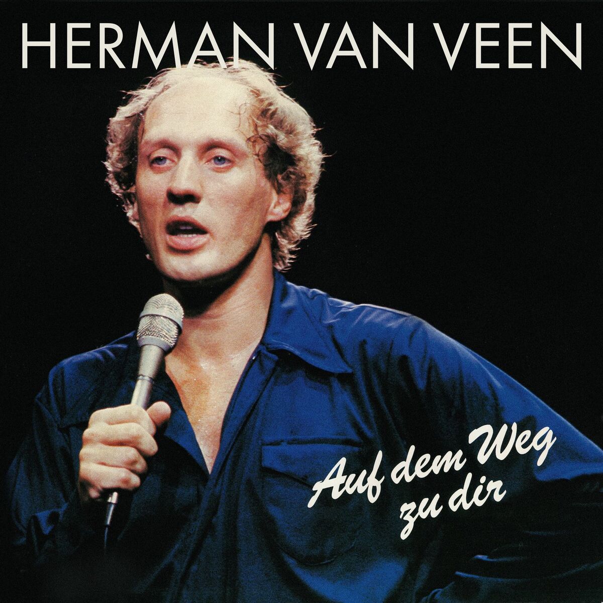 Album cover of Auf dem Weg zu dir
