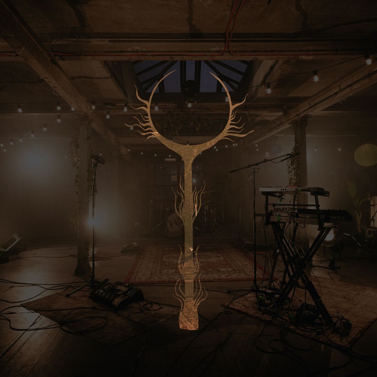 Album cover of Live at the Biscuit Factory