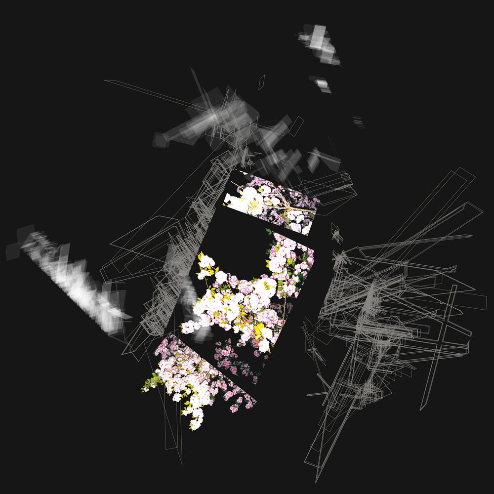 Picture of Capture & Release