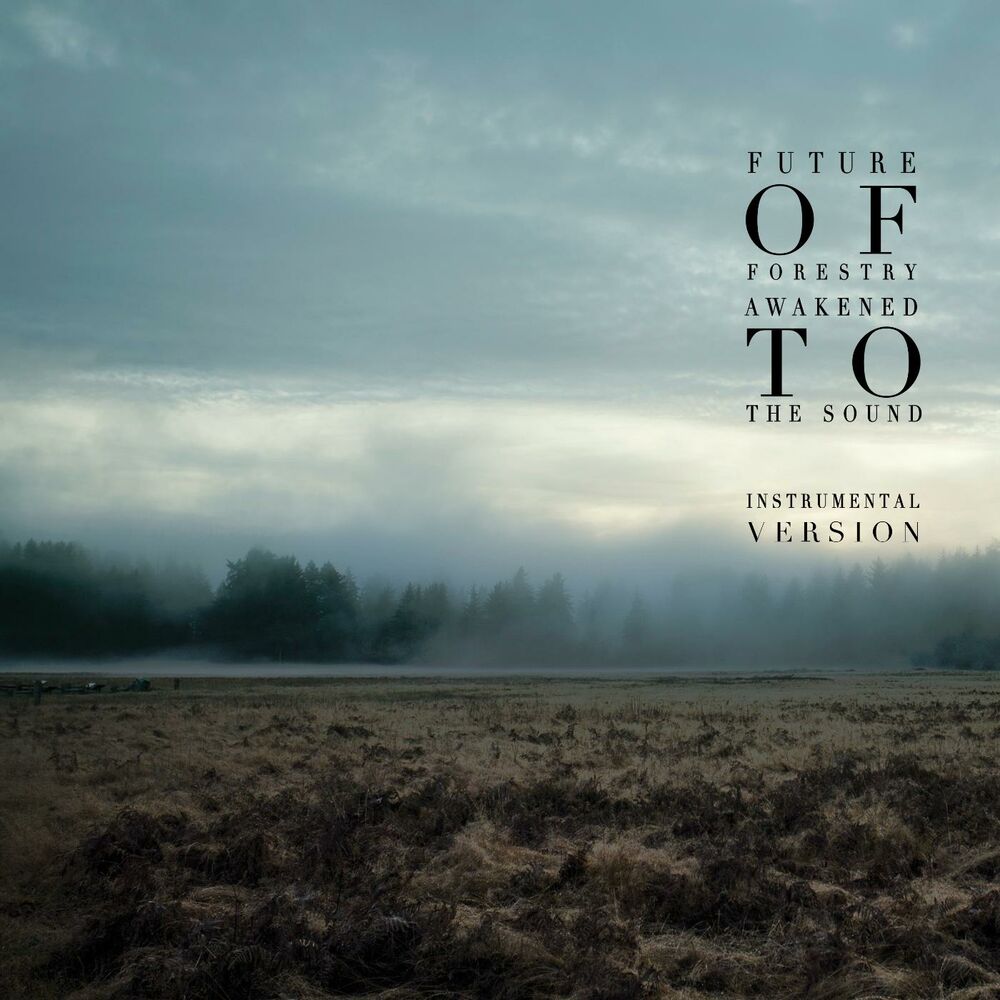 Picture of Awakened to the Sound (Instrumental Version)