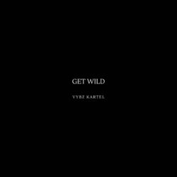 Cover of Get Wild