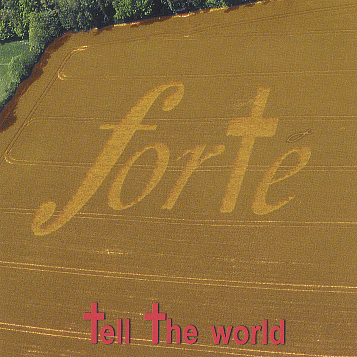 Album cover of tell the world