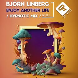 Cover of Enjoy Another Life (Hypnotic Mix)