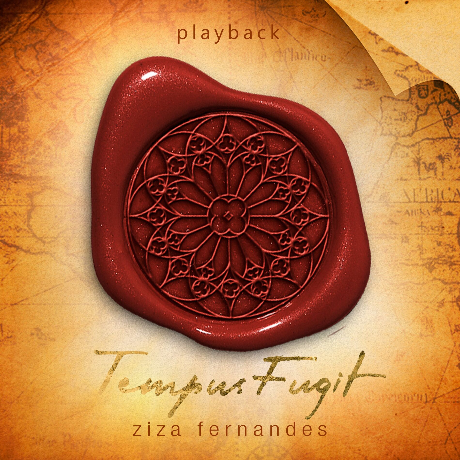 Album cover of Tempus Fugit (Playback)