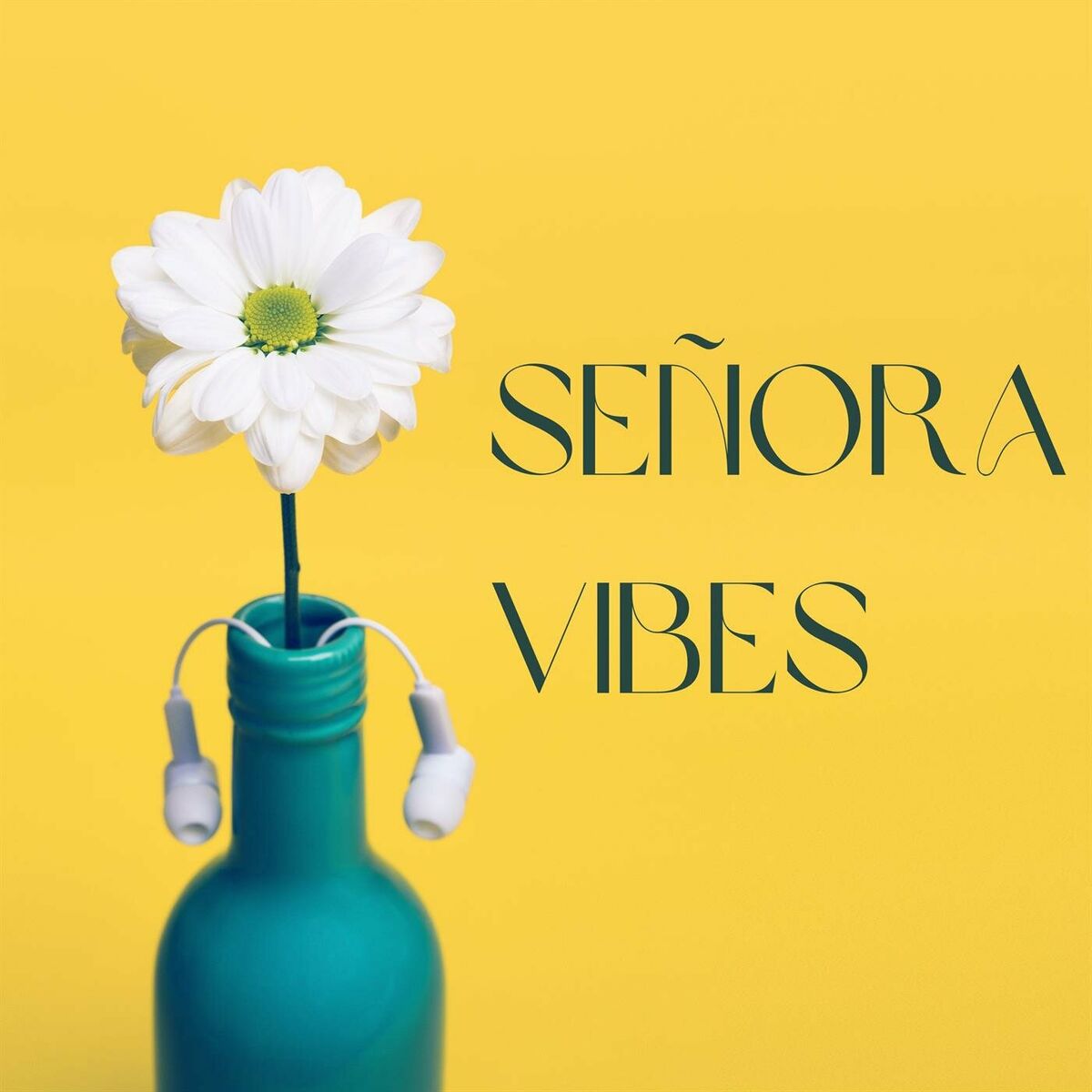 Album cover of Señora Vibes
