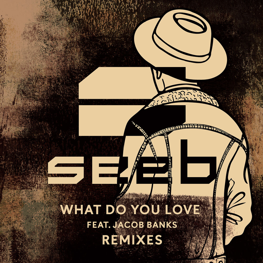 Picture of What Do You Love (Remixes)