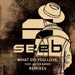 Cover of What Do You Love (Remixes)