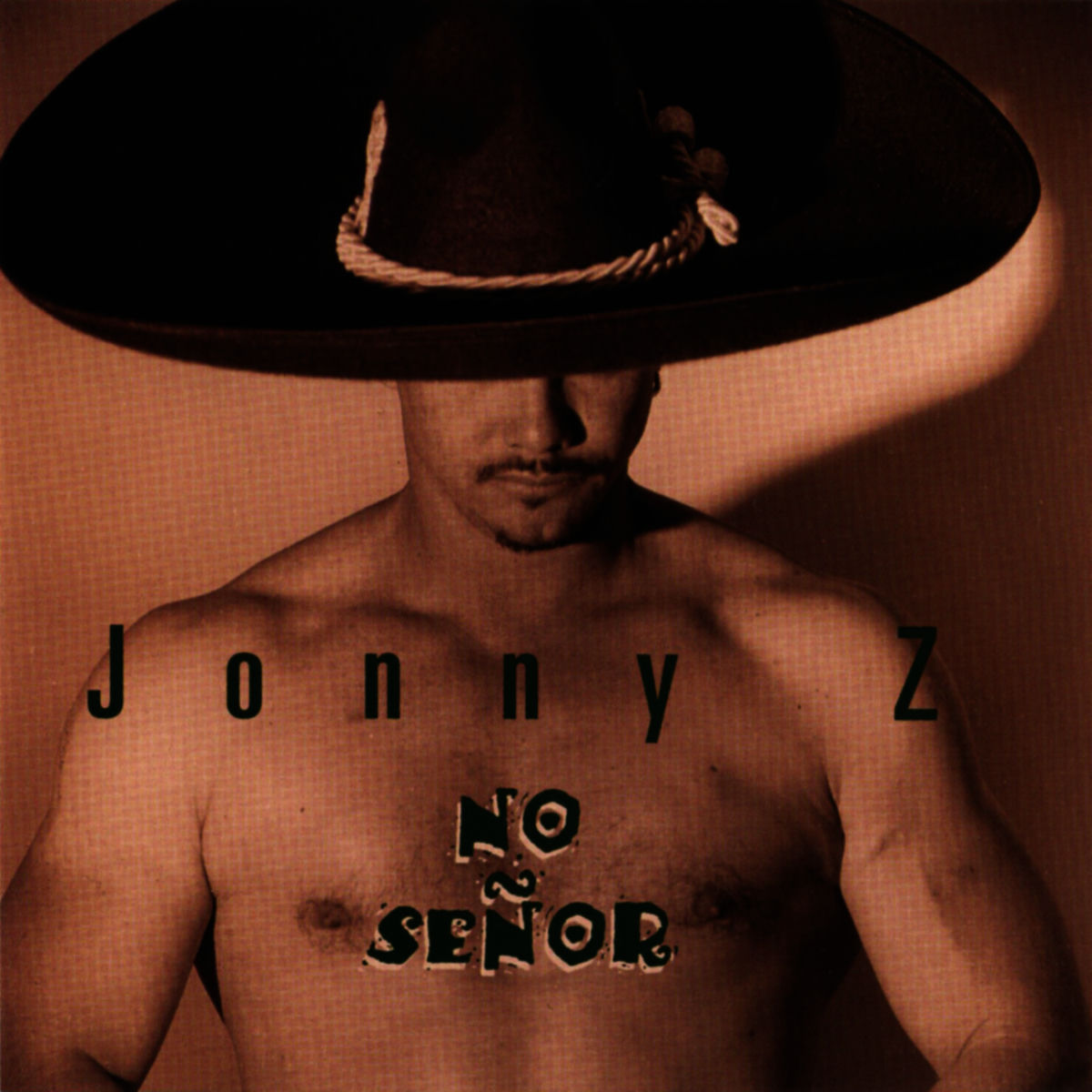 Album cover of No Senor (Senor Don's Mix)