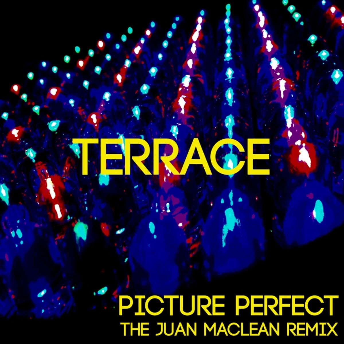 Album cover of Picture Perfect (The Juan MacLean Remix)