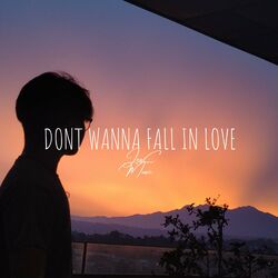 Cover of Dont Wanna Fall In Love