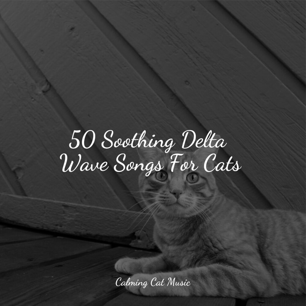 Picture of 50 Soothing Delta Wave Songs For Cats