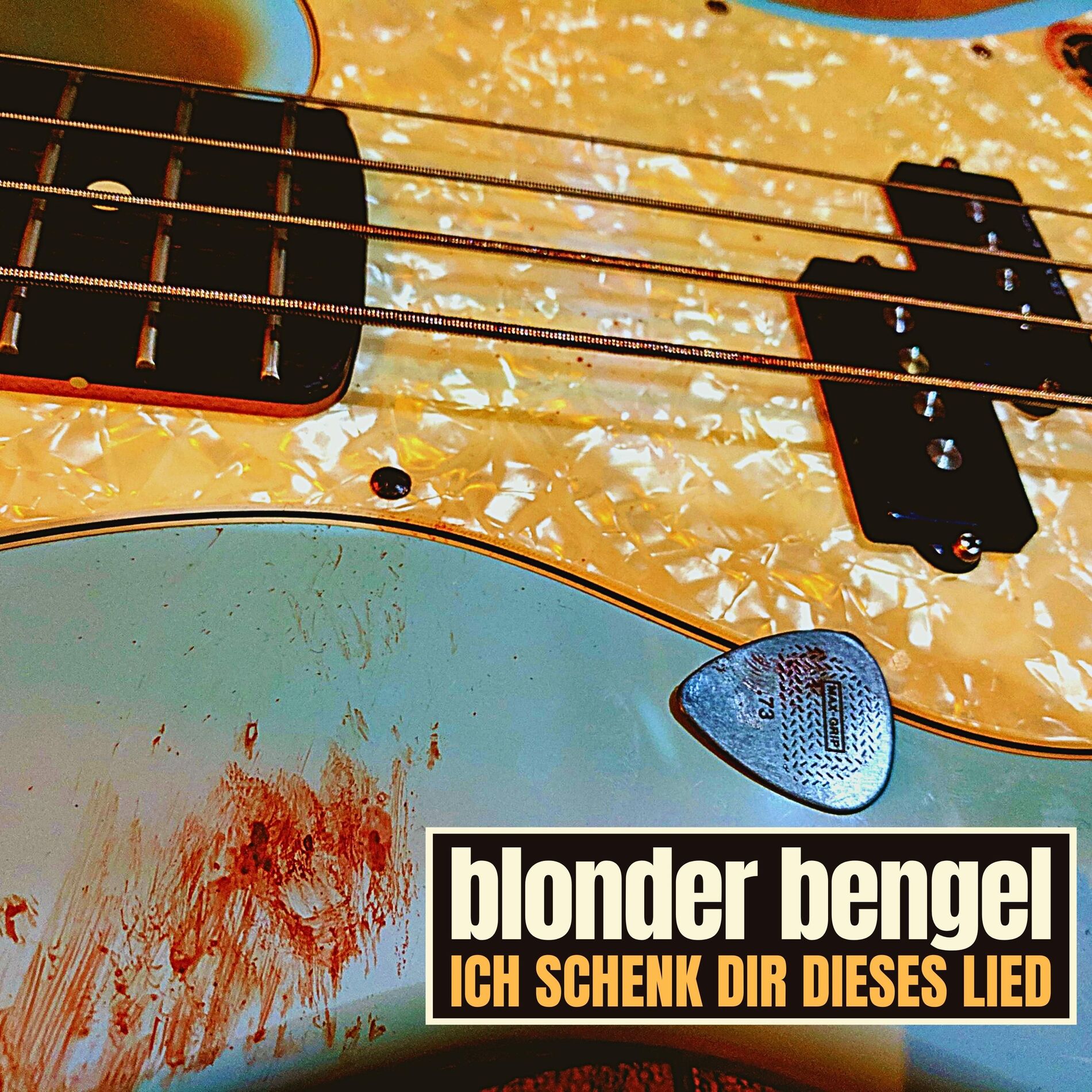 Album cover of Ich schenk dir dieses Lied