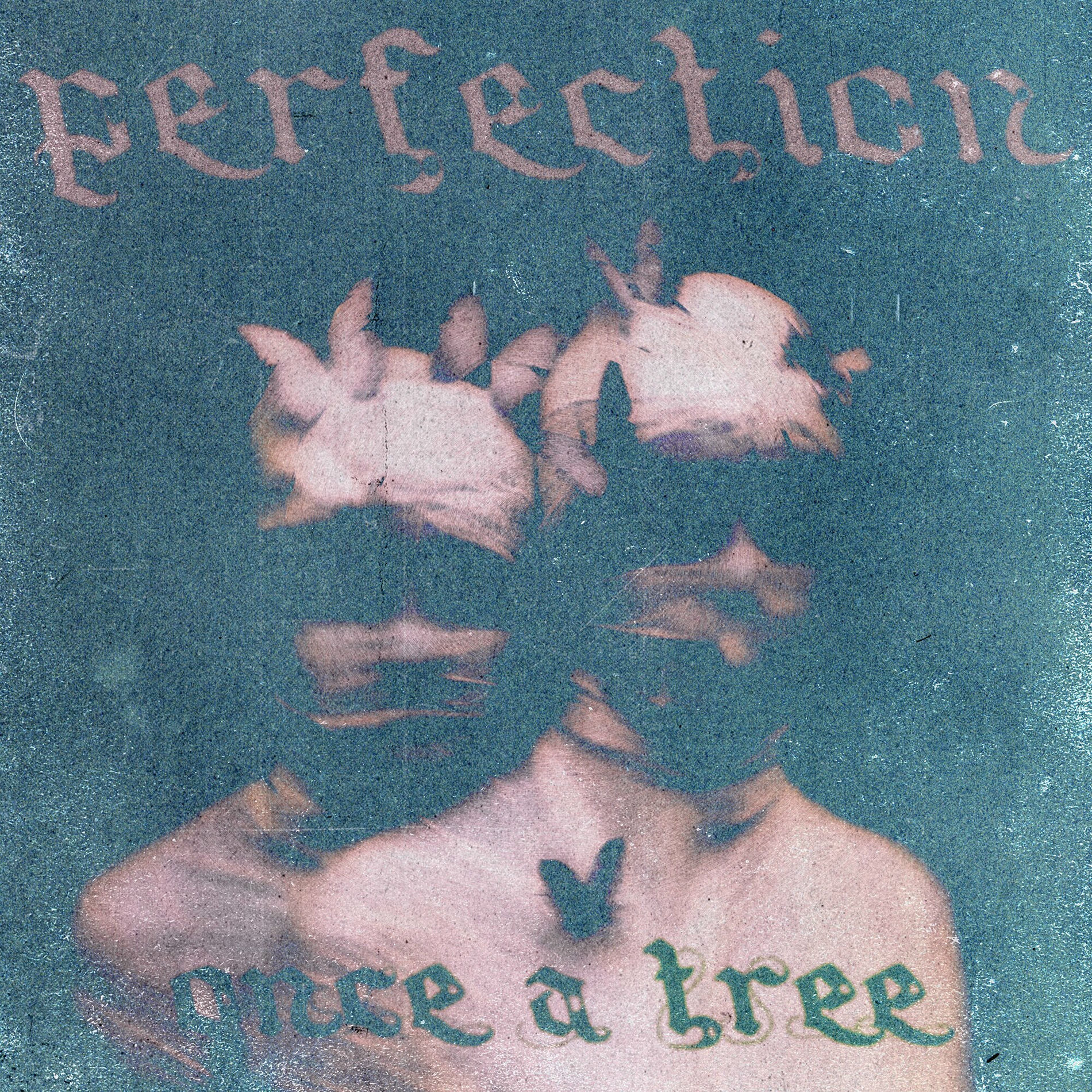 Album cover of Perfection