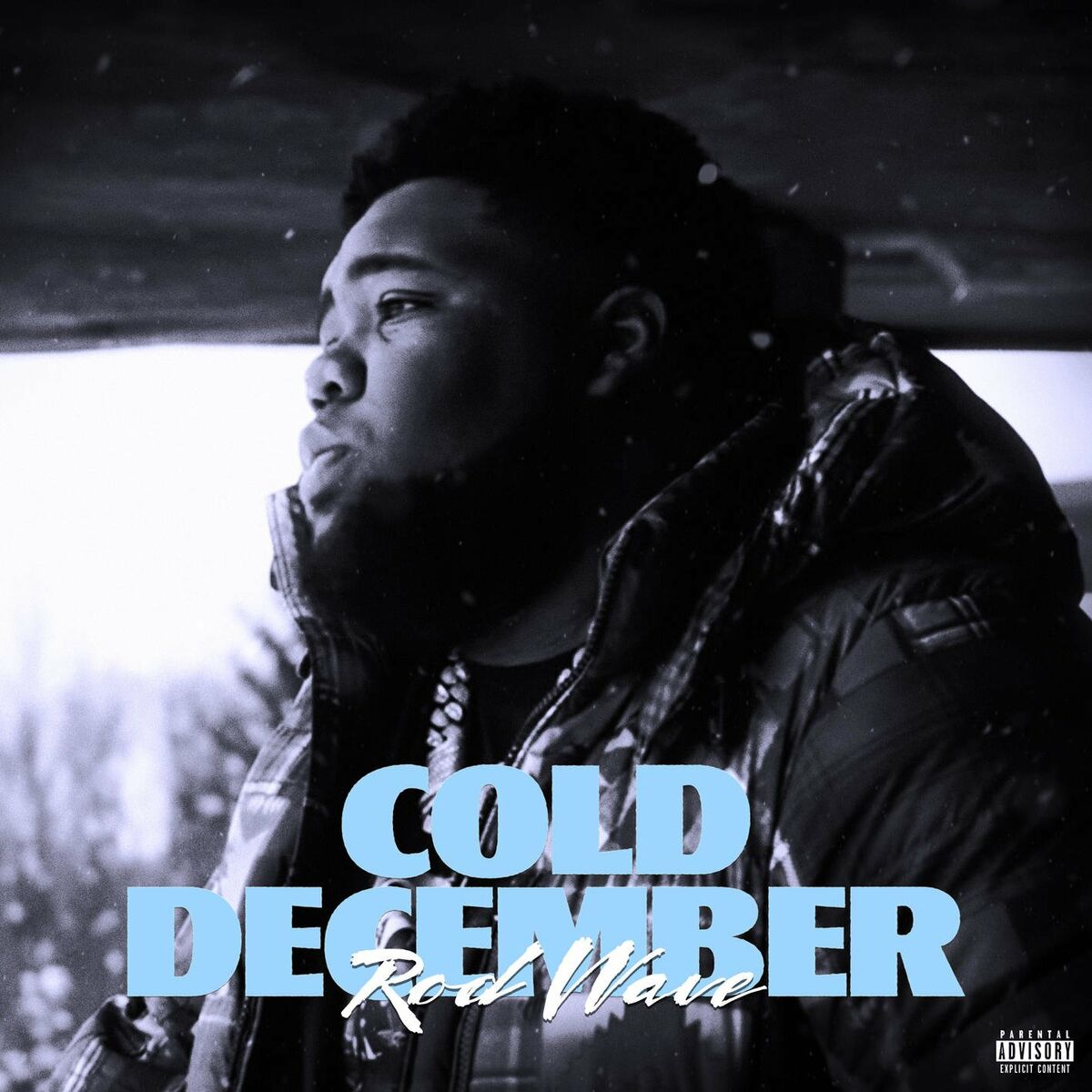 Album cover of Cold December