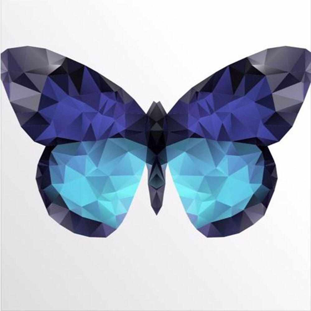 Picture of Butterfly Effect