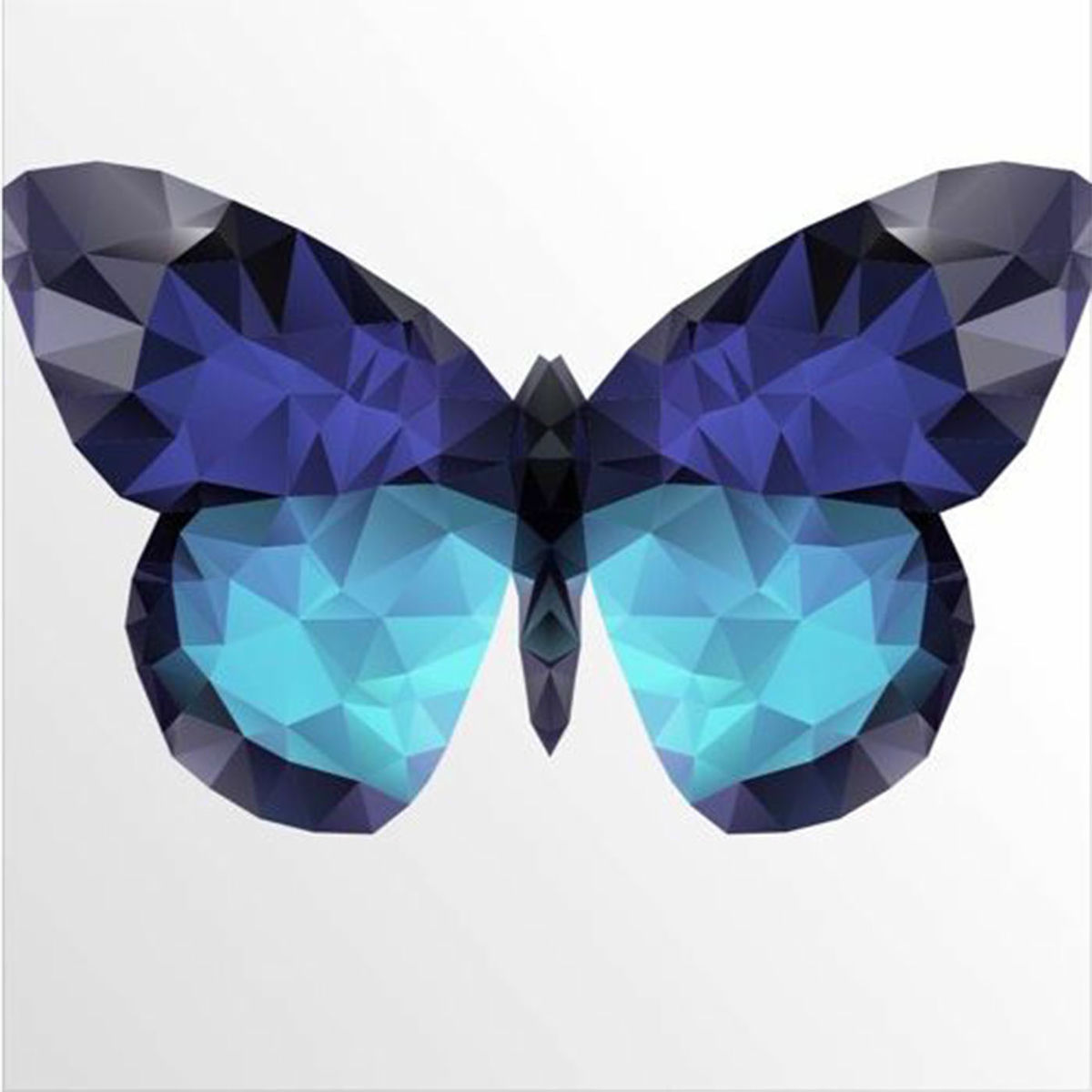 Album cover of Butterfly Effect