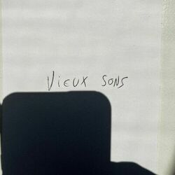 Cover of VIEUX SONS