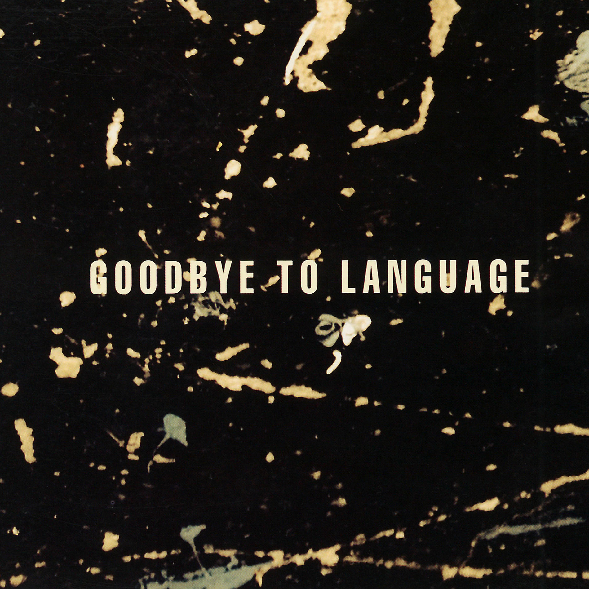 Album cover of Goodbye To Language