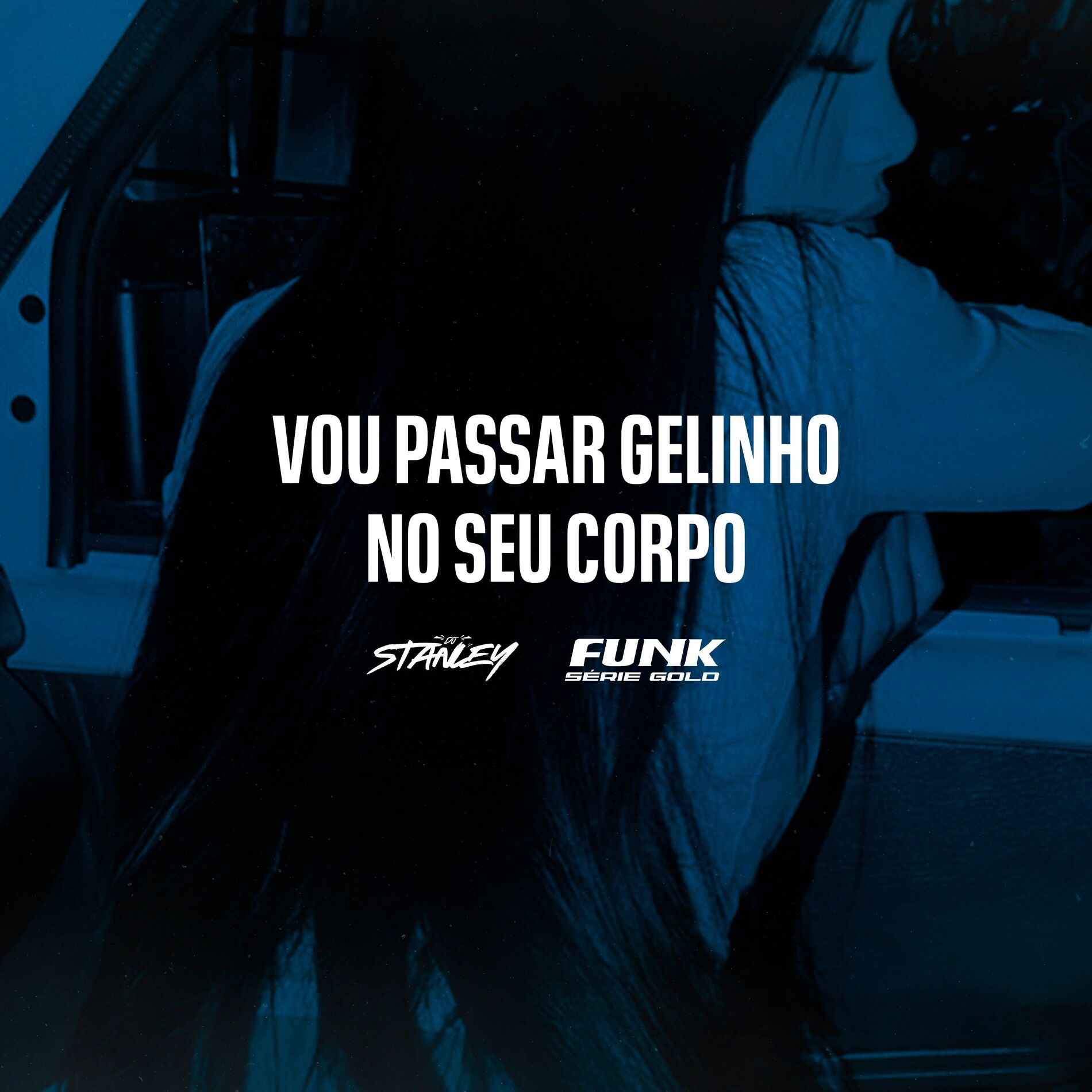 Album cover of Vou Passar Gelinho no Seu Corpo