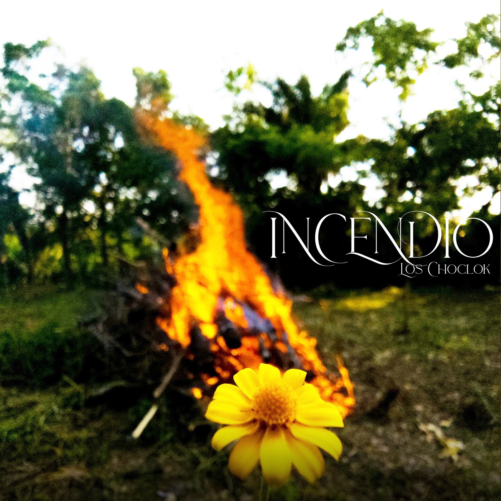 Album cover of Incendio