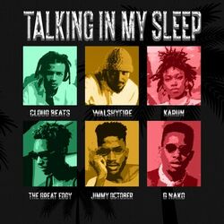 Cover of Talking In My Sleep