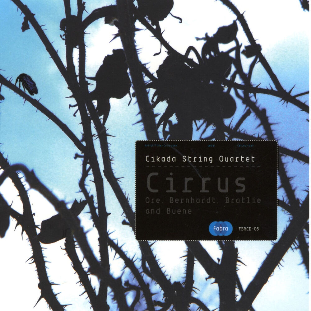 Picture of Cirrus