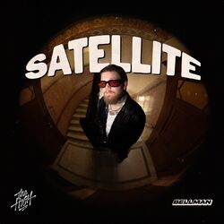 Cover of Satellite