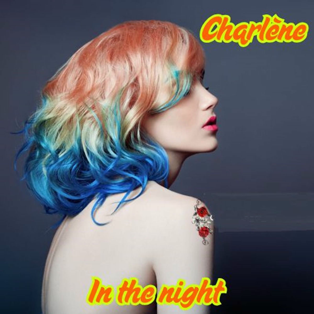 Album cover of In the Night