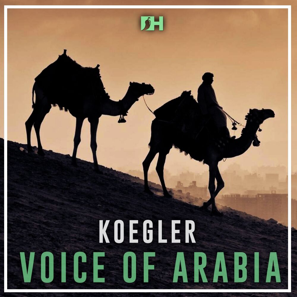 Picture of Voice of Arabia