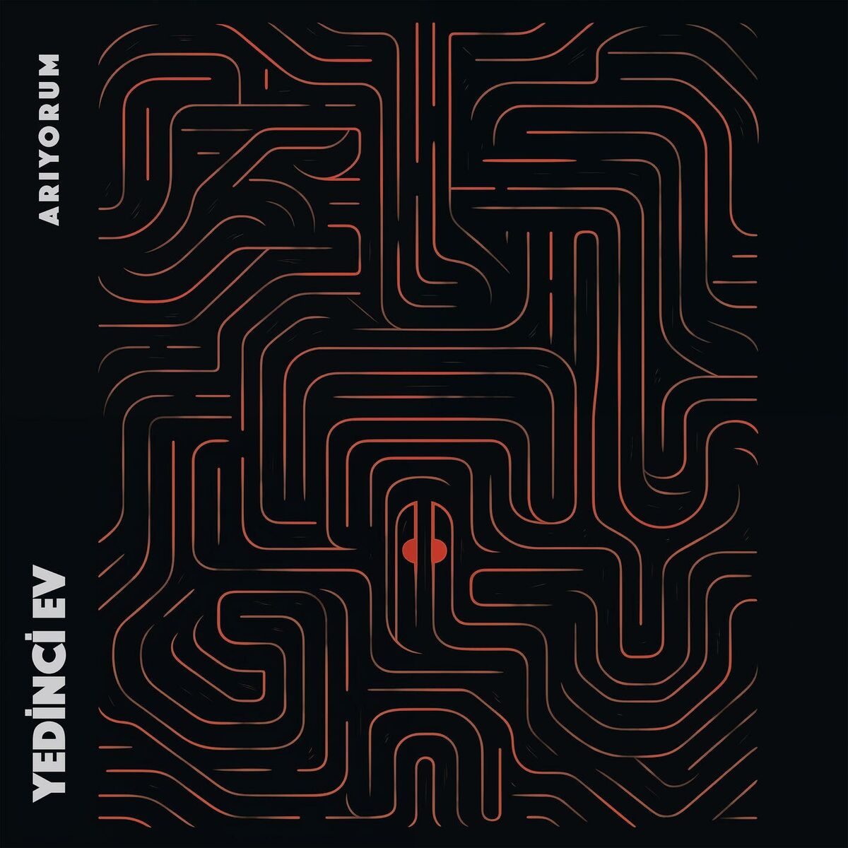 Album cover of Arıyorum
