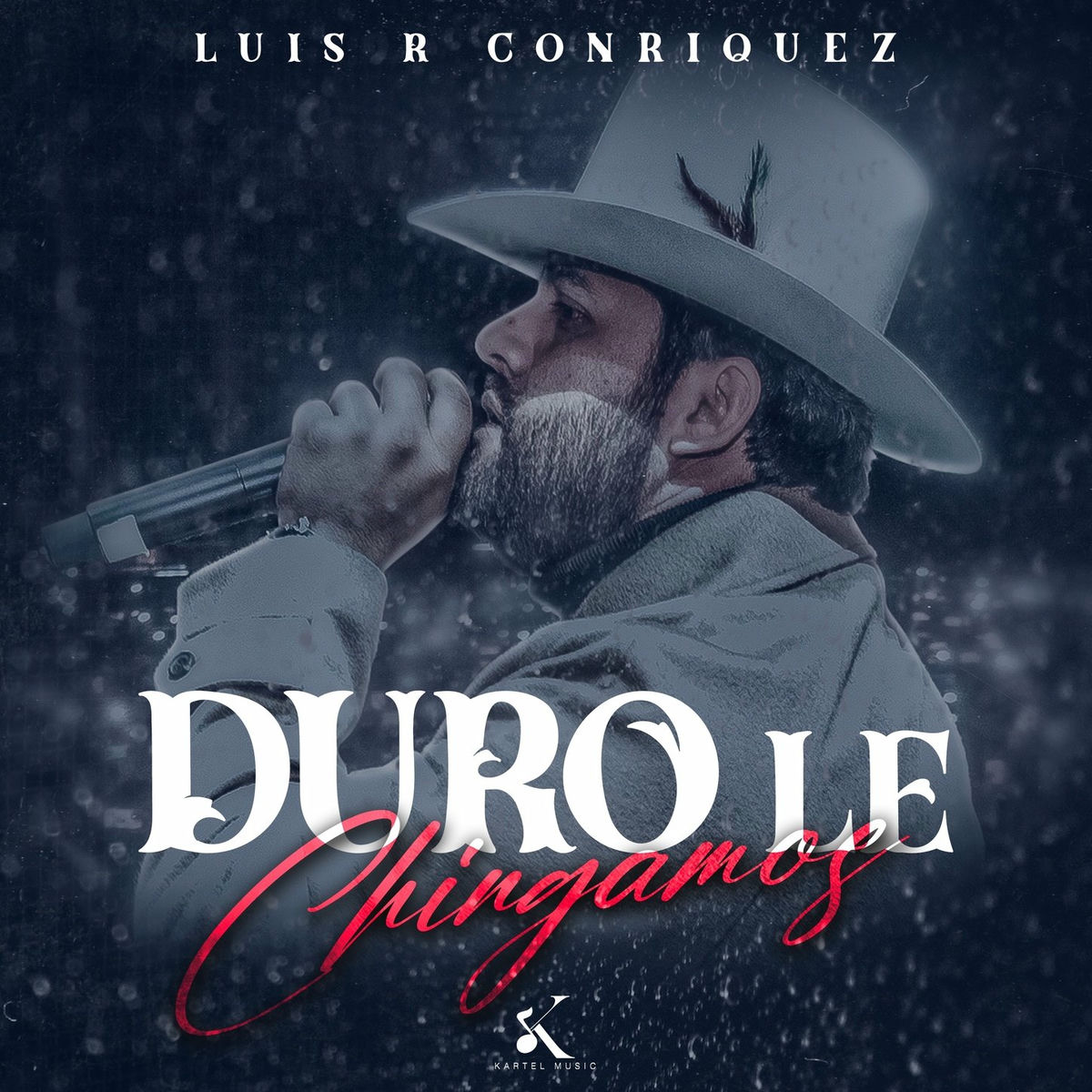 Album cover of Duro Le Chingamos