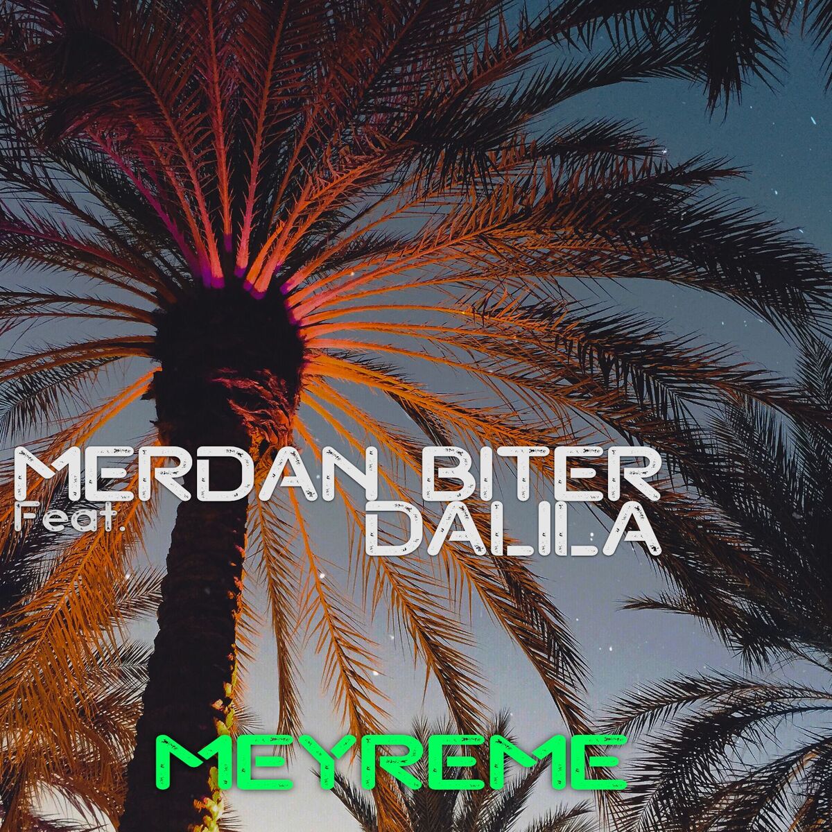 Album cover of Meyreme