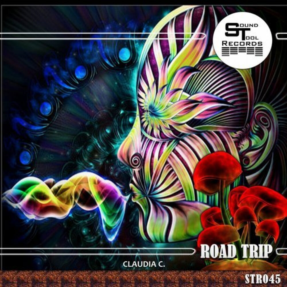 Picture of Road Trip