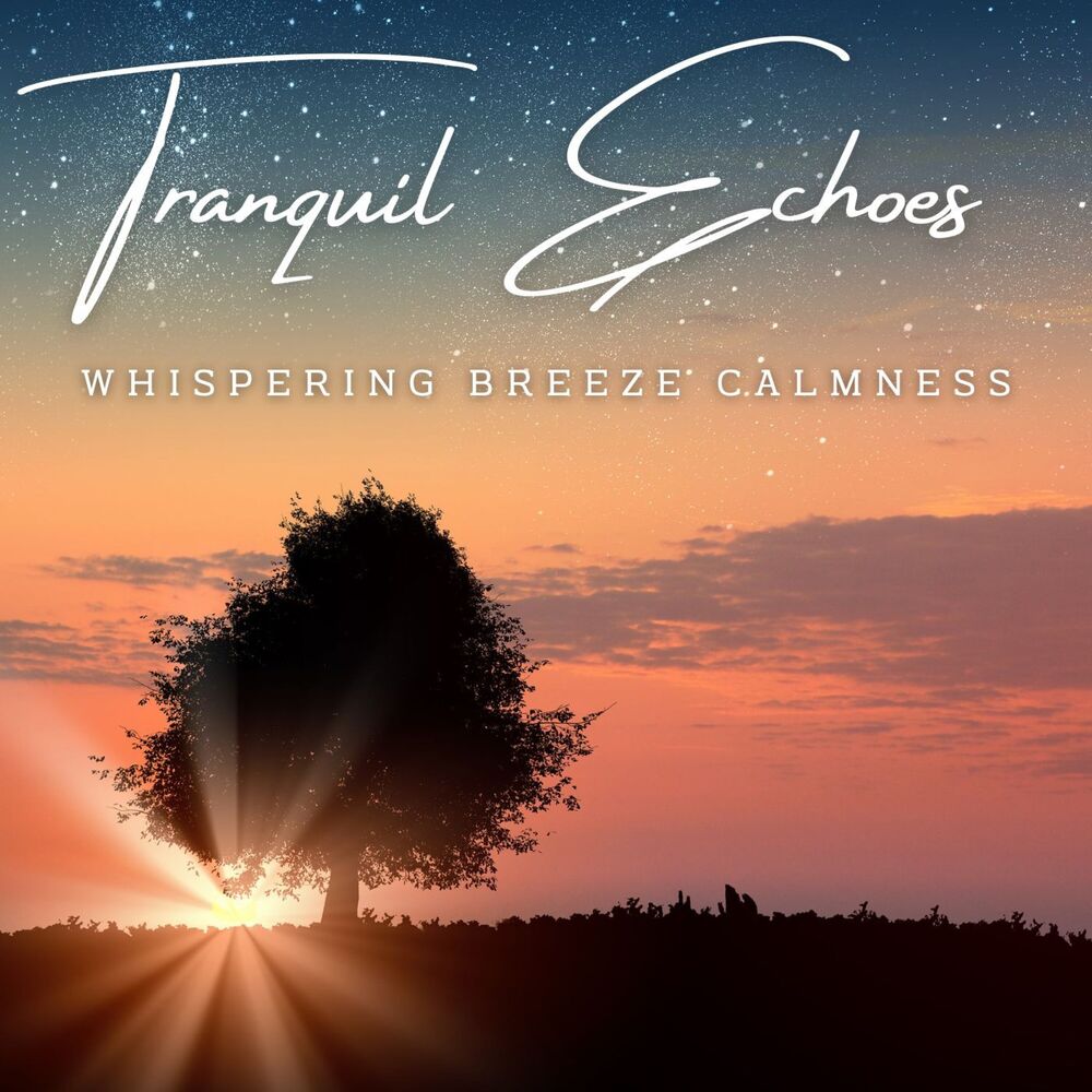Picture of Tranquil Echoes: Meditative Serenity Sessions